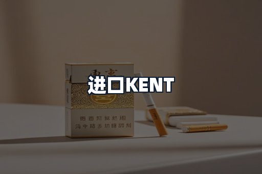 进口KENT